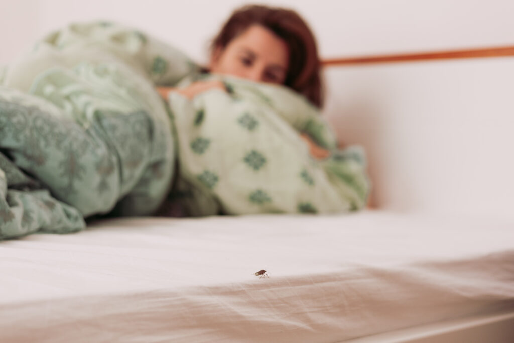 What Temperature Kills Bed Bugs Instantly