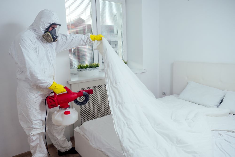 Fumigation for bed bugs