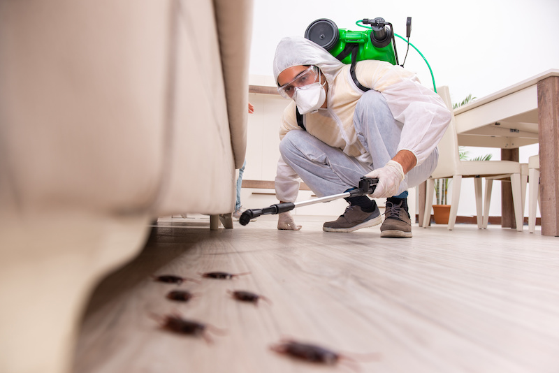 Pest control contractor working in an apartment, pest control in apartments