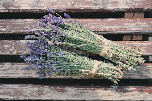 bundles of lavendar, some of the top wasp repellent plants