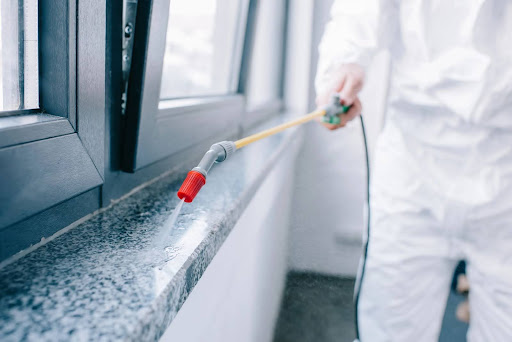 pest control technician spraying a windowsill